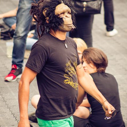 Vienna Sunsplash Festival