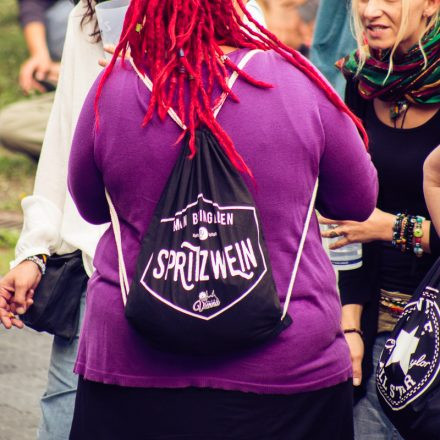 Vienna Sunsplash Festival