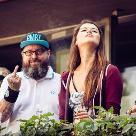 Vienna Sunsplash Festival