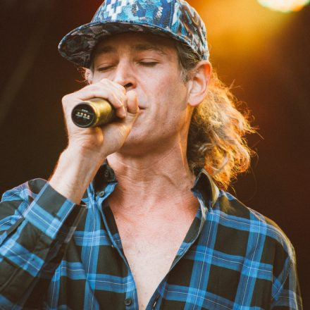 Vienna Sunsplash Festival