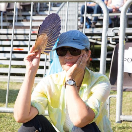 Lovely Days Festival @ Schlosspark Esterhazy - Eisenstadt