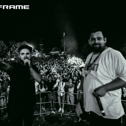 15Years of Mainframe Recordings III & IV @ Utopia Stage Donauinselfest Wien (Pix by Dasharofi)