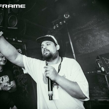 15Years of Mainframe Recordings III & IV @ Utopia Stage Donauinselfest Wien (Pix by Dasharofi)