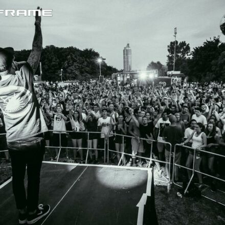 15Years of Mainframe Recordings III & IV @ Utopia Stage Donauinselfest Wien (Pix by Dasharofi)