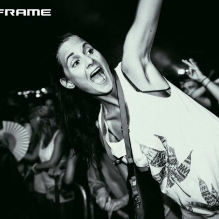 15Years of Mainframe Recordings III & IV @ Utopia Stage Donauinselfest Wien (Pix by Dasharofi)