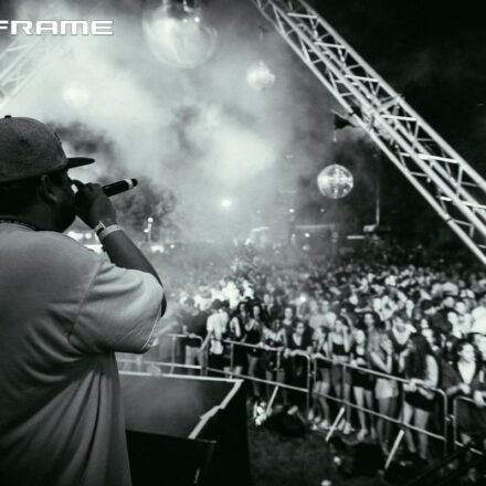 15Years of Mainframe Recordings III & IV @ Utopia Stage Donauinselfest Wien (Pix by Dasharofi)