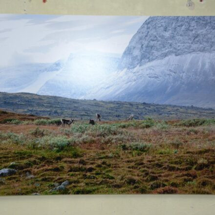 On Solitude. Ausstellung über das Leben in Einsamkeit @ Die Schöne Wien