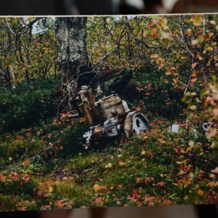 On Solitude. Ausstellung über das Leben in Einsamkeit @ Die Schöne Wien