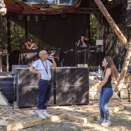 Tanz durch den Tag / Aufwind Festival - Day 2 @ Donauinsel Wien