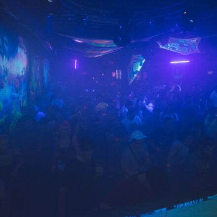 Flexible Summer Psytrance Night @ Flex Wien