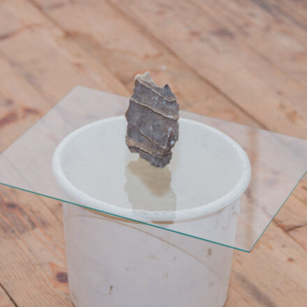 Attentive practices of thought, love, rage and care @ Die Schöne Wien