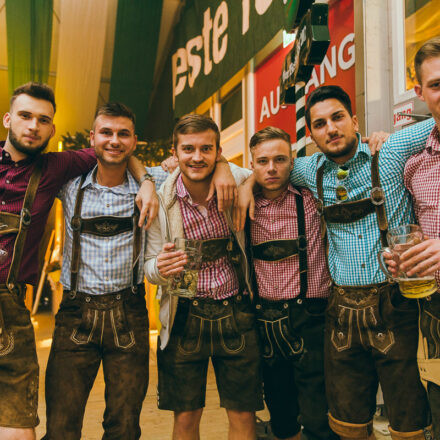 Wiener Wiesn 2017