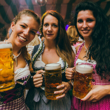 Wiener Wiesn 2017