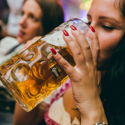 Wiener Wiesn 2017