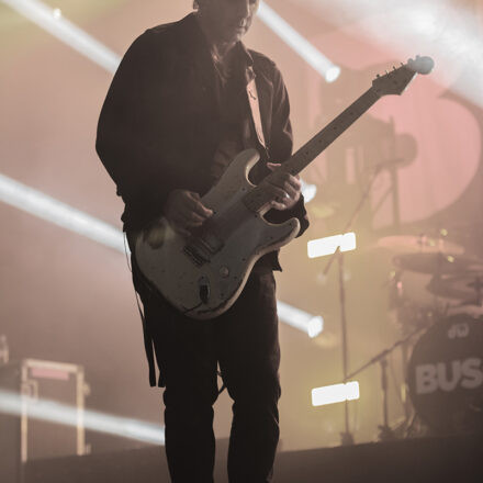 Bush