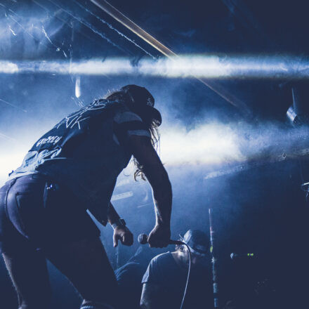 Emil Bulls - Kill Your Demons Tour 2017 @ Flex Wien