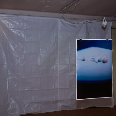 E C L E C T _ Exhibition/Zine Release @ Die Schöne Wien