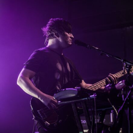 The Wombats
