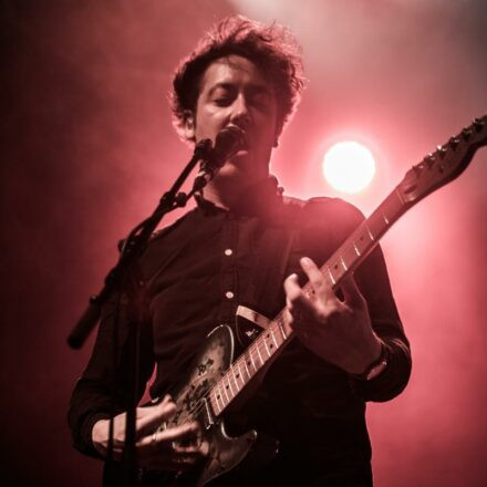 The Wombats