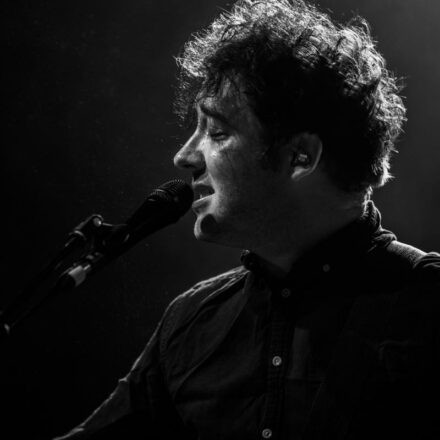 The Wombats