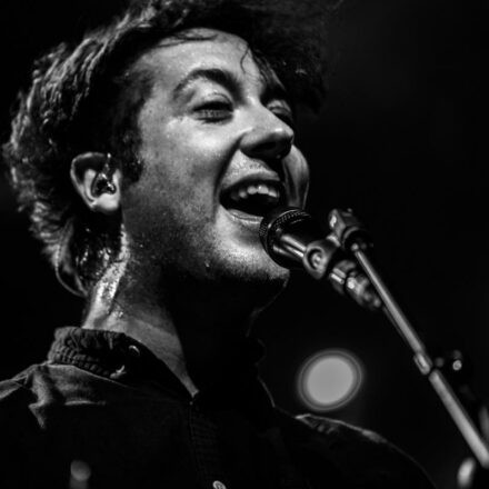 The Wombats