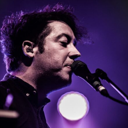 The Wombats