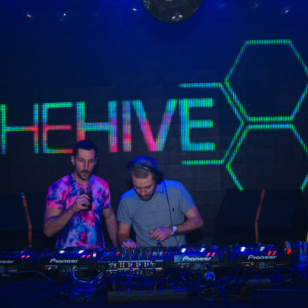 The Hive @ Flex Wien