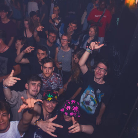 The Hive @ Flex Wien