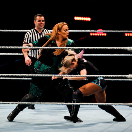 WWE Live
