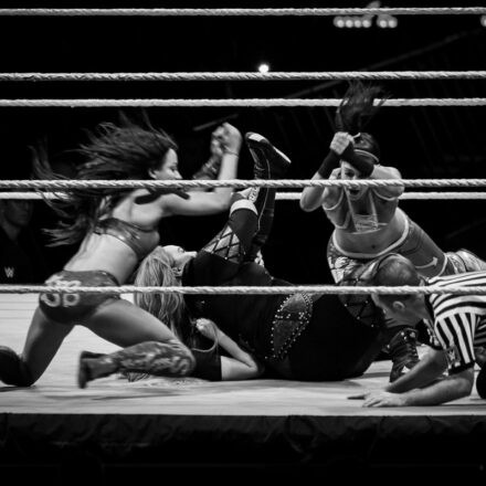 WWE Live