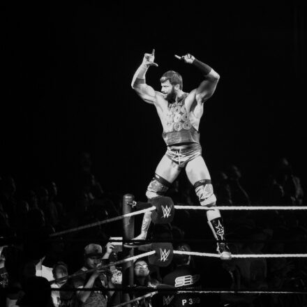 WWE Live