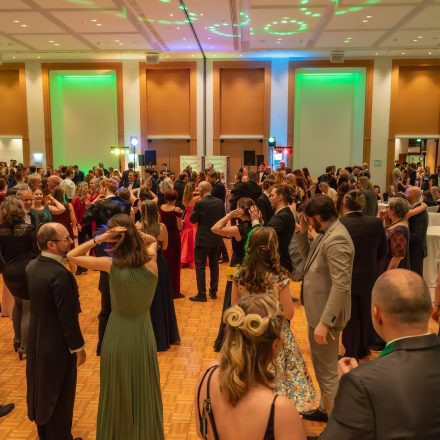 10. Wiener Vegan Ball