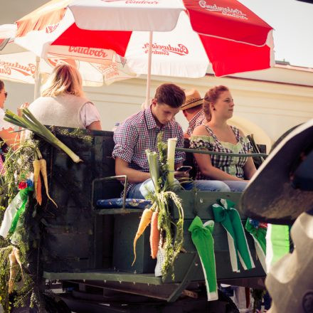 Erntedankfest 2016 @ Augarten Wien