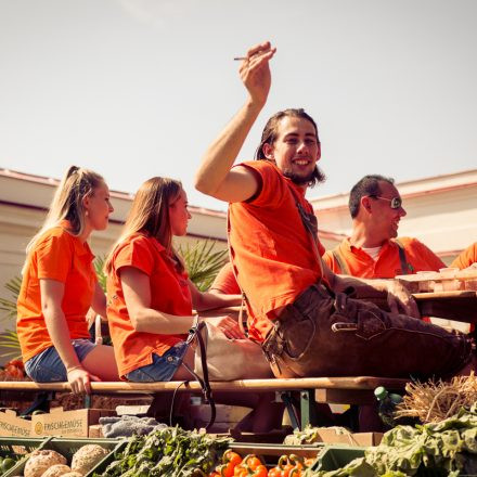 Erntedankfest 2016 @ Augarten Wien