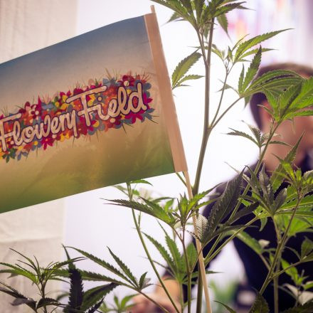 Cultiva International HEMP EXPO @ Pyramide Vösendorf