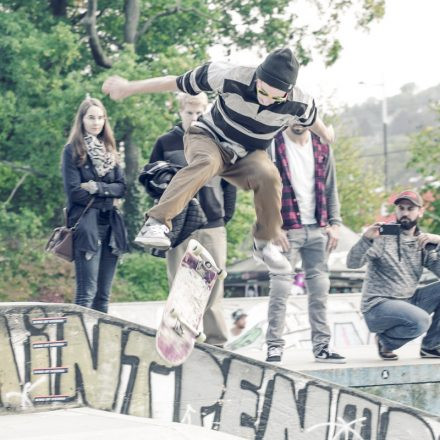 King of Vienna @ Goodlands Skatepark