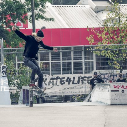 King of Vienna @ Goodlands Skatepark