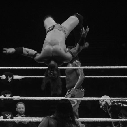 WWE Live @ Stadthalle Wien