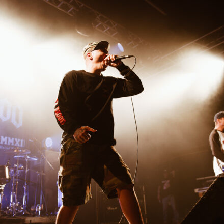 EARLY SHOW Deez Nuts / Comeback Kid / First Blood / Risk It @ Arena Wien