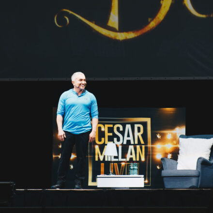 Cesar Millan - Once Upon A Dog @ Stadthalle Wien