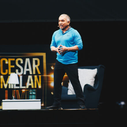 Cesar Millan - Once Upon A Dog