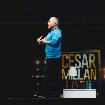 Cesar Millan - Once Upon A Dog @ Stadthalle Wien