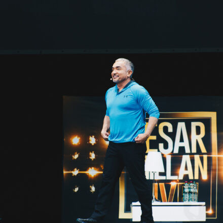 Cesar Millan - Once Upon A Dog