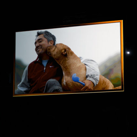 Cesar Millan - Once Upon A Dog