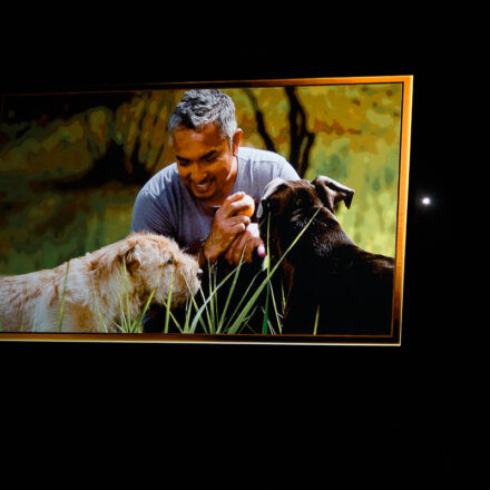 Cesar Millan - Once Upon A Dog