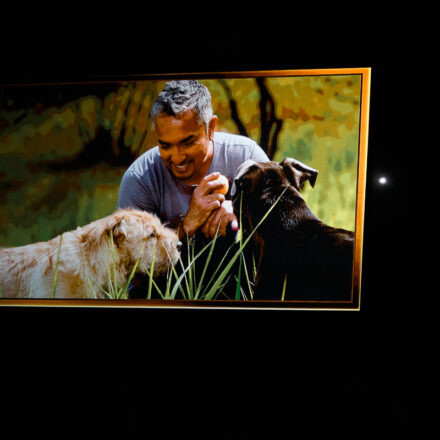 Cesar Millan - Once Upon A Dog @ Stadthalle Wien