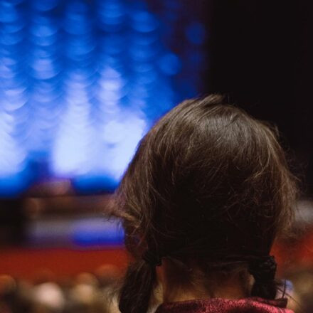 Scott Bradlee's Postmodern Jukebox @ Wiener Stadthalle