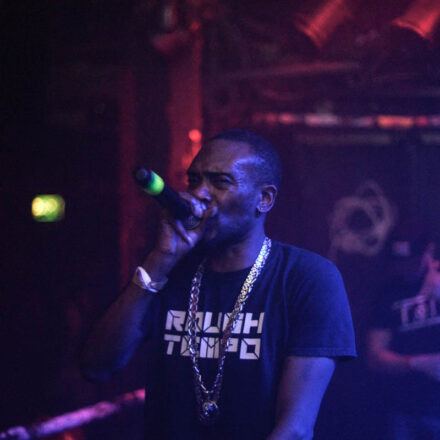 Switch! Deluxe feat. Majistrate @ Flex Wien