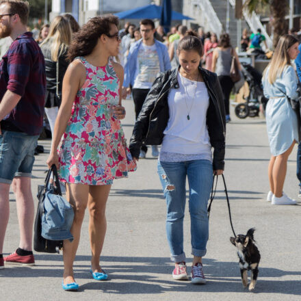 Tel Aviv Beach Opening @ Donaukanal Wien