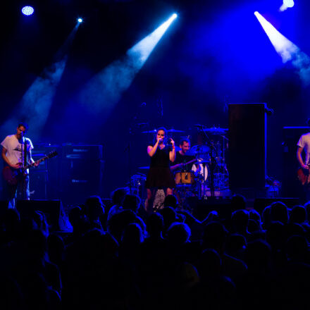 Descendents / Not On Tour / DeeCracks @ Arena Wien